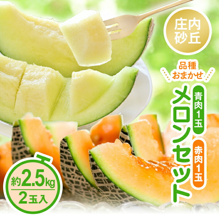 【ふるさと納税】庄内砂丘 青肉・赤肉メロンセット 品種おまかせ 2玉 約2.5kg 6月中旬～7月下旬頃お届け ※着日指定不可 庄内砂丘メロン オレンジ 緑 夏 果物 フルーツ くだもの 旬 東北 山形県 酒田市 庄内