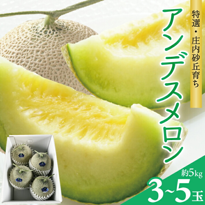 【ふるさと納税】庄内砂丘 特選アンデスメロン つる付 3～5玉 約5kg 7月上旬～7月下旬頃お届け ※着日指定不可 メロン 青肉メロン 庄内砂丘メロン ツル付 緑 夏 果物 フルーツ くだもの 旬 東北 山形県 酒田市 庄内