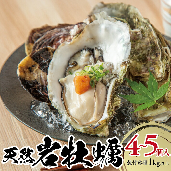 【ふるさと納税】天然岩牡蠣 4～5個入 計1kg以上 殻付き 酒田沖 6月上旬～9月上旬頃お届け 冷蔵便 ※着日指定・離島発送不可（沖縄県を含む） 東北 山形県 庄内地方 日本海 かき カキ 海産物 シーフード 海鮮 新鮮 鮮魚 まるごと 生食 期間限定｜山形県酒田市