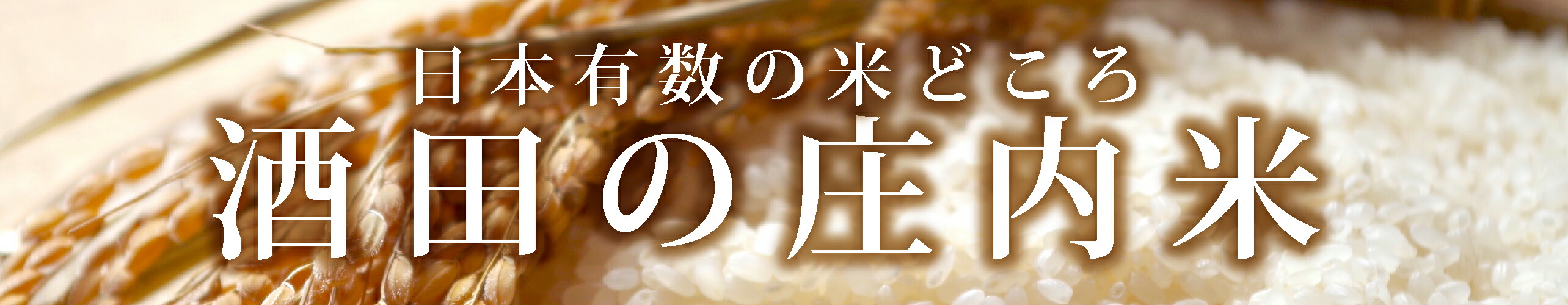 楽天市場 ふるさと納税 隔月定期便 一等米 無洗米 はえぬき 5kg 3回 計15kg 山形県庄内産 隔月で中旬にお届け 米 定期便 隔月 山形県酒田市