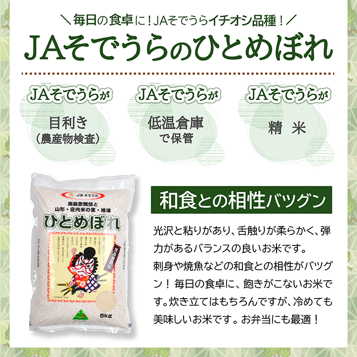 ふるさと納税 定期便 一等米 ひとめぼれ 5kg 12ヶ月連続 計60kg 山形県産 毎月中旬にお届け septicin Com