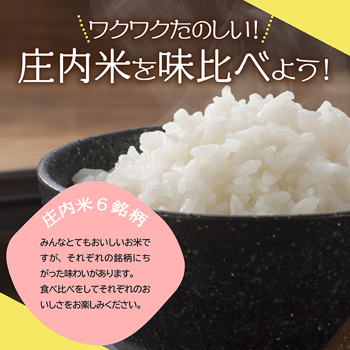 ふるさと納税 定期便 庄内米味比べ 5kg 12ヶ月連続 計60kg ひとめぼれ コシヒカリ ササニシキ つや姫 はえぬき 雪若丸 山形県産 毎月下旬にお届け septicin Com