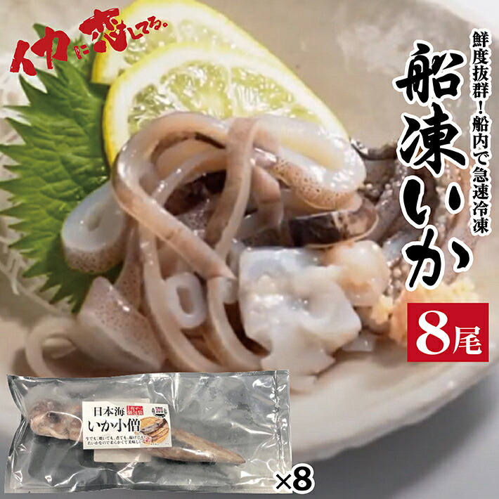【ふるさと納税】船凍いか  １尾入８パックセット 日本海いか小僧 冷凍便※離島への発送不可