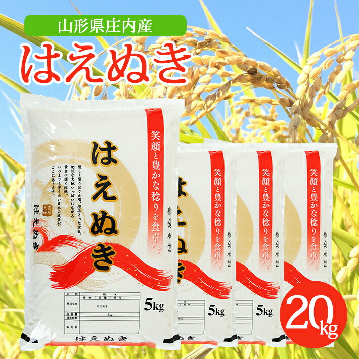 楽天市場】【ふるさと納税】はえぬき 5kg×2袋 計10kg 令和4年産米 山形県庄内産 ご希望の時期頃にお届け 米 お米 精米 白米 : 山形県酒田市