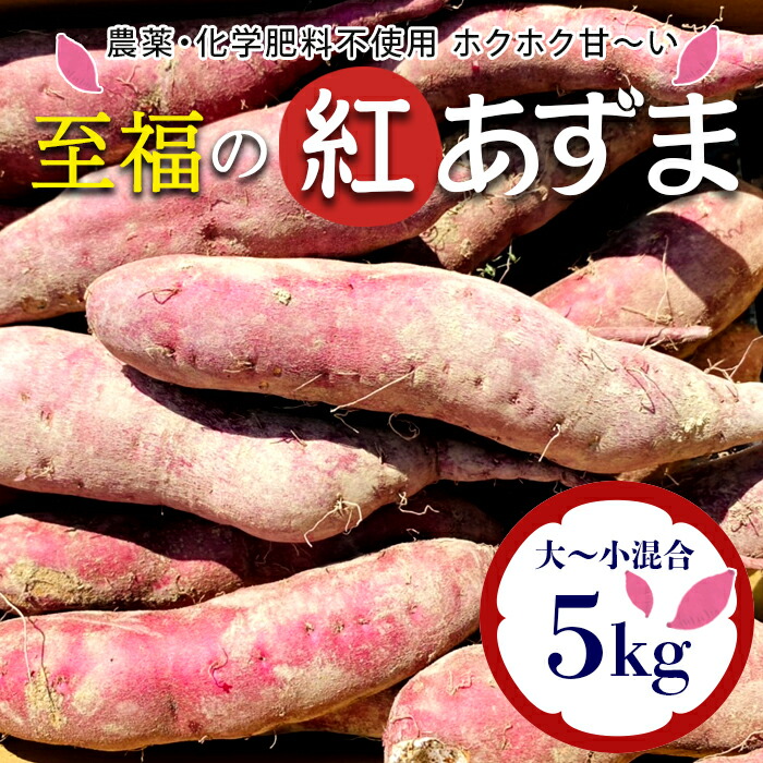 【ふるさと納税】 栽培期間中、農薬・化学肥料不使用 ホクホク『紅あずま』サイズ 大～小混合 5kg さつまいも サツマイモ 山形県 新庄市 F3S-2352
