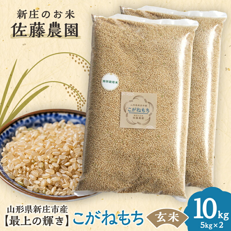 ふるさと納税】 特別栽培米【最上の輝き】こがねもち 玄米 5kg×2袋 米