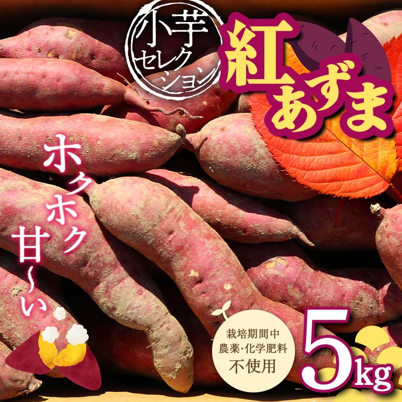 【ふるさと納税】 栽培期間中、農薬・化学肥料不使用 ホクホク甘～い『小芋セレクション紅あずま』5kg さつまいも サツマイモ 山形県 新庄市 F3S-1939