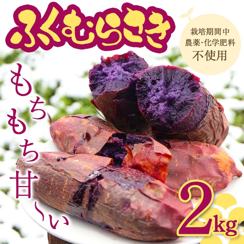 【ふるさと納税】 栽培期間中、農薬・化学肥料不使用 もちもち甘～い『ふくむらさき』 小～大混合 2kg さつまいも サツマイモ F3S-1942