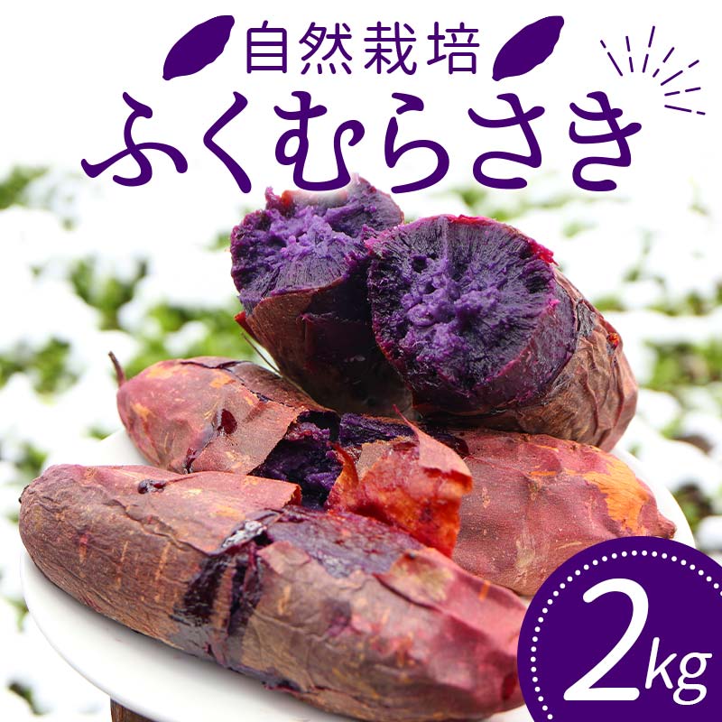 【ふるさと納税】 自然栽培 ふくむらさき 2kg 大～小混合 さつまいも サツマイモ 芋 F3S-1995