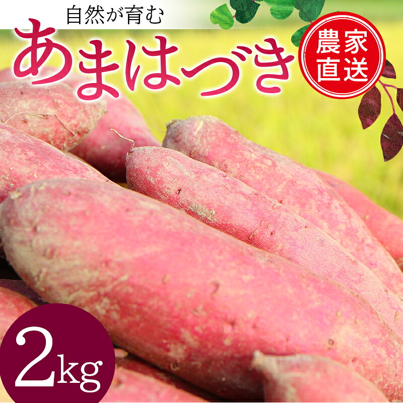 【ふるさと納税】 ＜2026年秋収穫分 先行予約＞ 自然が育む『あまはづき』2kg さつまいも サツマイモ 芋 F3S-2617