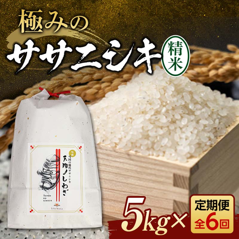 【ふるさと納税】 定期便 全6回 極みのササニシキ（精米）5kg×6回 米 お米 おこめ ふるさと納税 山形県 新庄市 F3S-2418