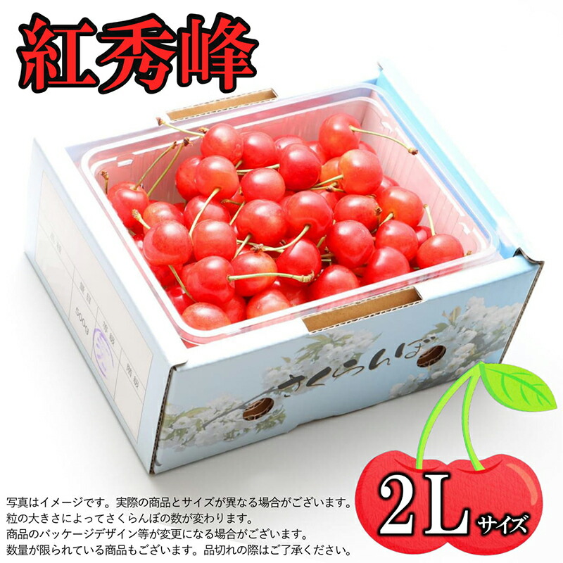 ふるさと納税 山形県生み さくらんぼ 頬紅秀峰 2l号数 秀品 500g ローズ端末 21年中産 山形の紅い熱烈 ワン粒子一粒に腹を込めたさくらんぼ Eyfel Sa Com