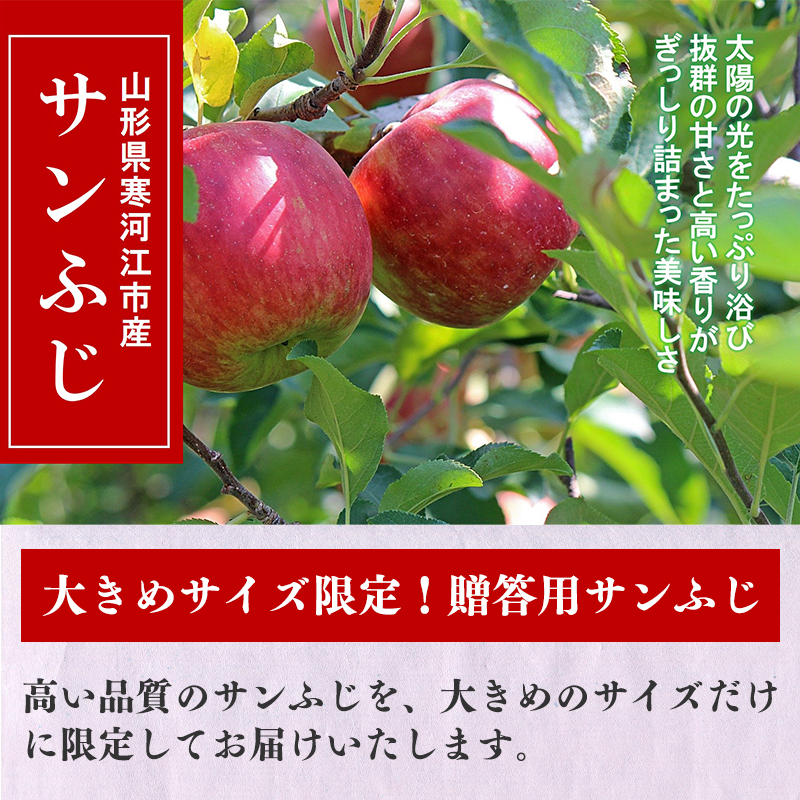 ふるさと納税 21老齢創作 山形県産 りんご サンふじ 5kg 14鳥の子 16玉 大きめ号数 進呈用脚 沙汰連合3年産 お取り寄せ ご当地 特産 果物 フルーツ くだもの リンゴ 林檎 時節 秋日 冬期 食後 黄砂 やまがた さがえ Musiciantuts Com