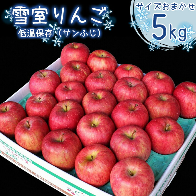 【ふるさと納税】雪室りんご「サンふじ」 5kg サイズおまかせ 【2026年1月下旬頃～2月下旬頃発送予定】 <br>／ お取り寄せ ご当地 特産 果物 フルーツ くだもの リンゴ 林檎 季節 冬 食後 デザート 2025年産 令和7年産 東北 山形県 5キロ ふるさと納税 りんご