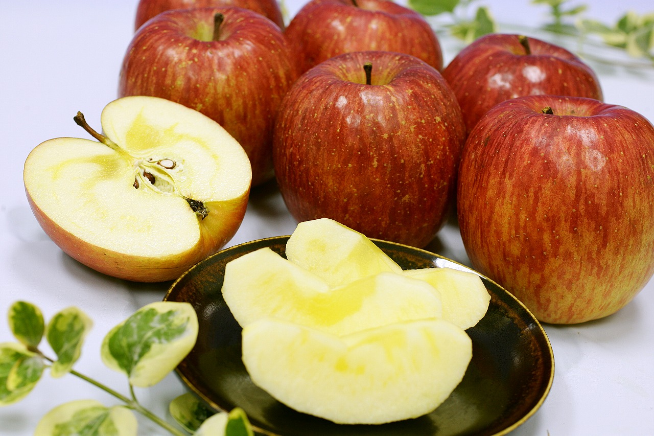 りんご 5kg 特産 ご当地 秀品 《家庭用》 16〜18玉