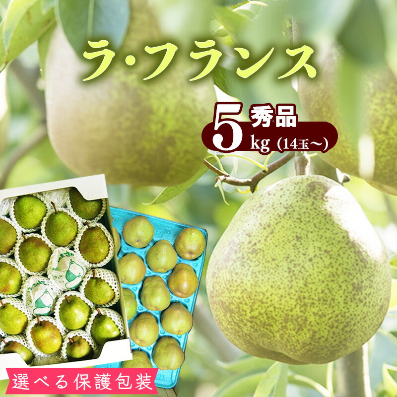 【ふるさと納税】選べる【保護包装品・ご自宅用】山形産 秀品 洋梨「ラ・フランス」5kg（14玉～） サイズおまかせ 【2025年10月末頃～12月上旬頃】<br>／ お取り寄せ ご当地 特産 産地直送 果物 フルーツ 新鮮 季節 秋 東北 山形県 ラフランス 5キロ 2025年産 令和7年産