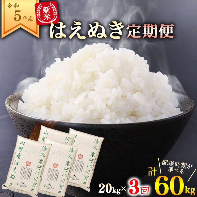 タイムセール ✨はえぬき✨20kg✨令和4年産✨山形県庄内産✨ i9tmg.com.br