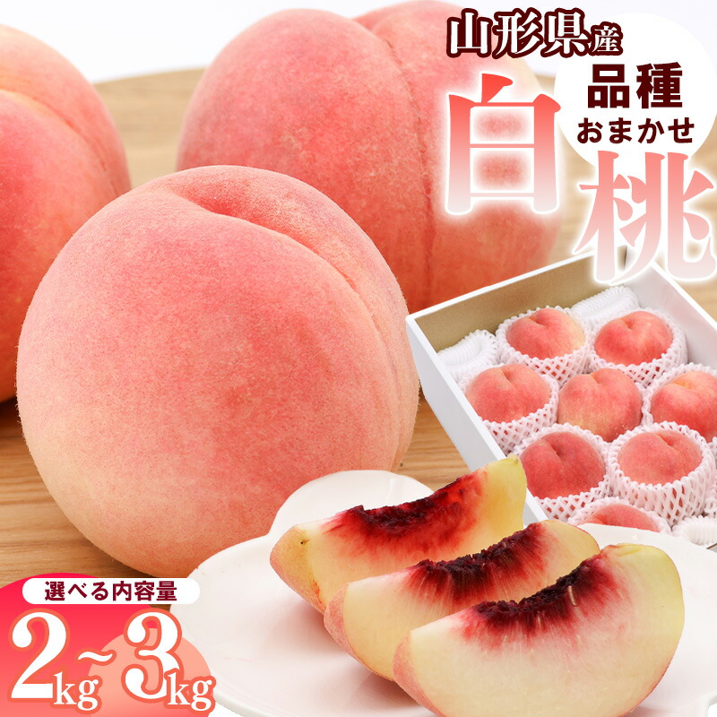 【ふるさと納税】選べる！山形県産 白桃 2kg ～ 3kg品種おまかせ 秀品 【2025年8月上旬頃～9月下旬頃発送予定】<br>／ 果物 フルーツ 果実 産地直送 新鮮 夏 お取り寄せ ご当地 ピーチ 果汁 3キロ 2キロ 10000円 JA 2025年産 令和7年産 もも