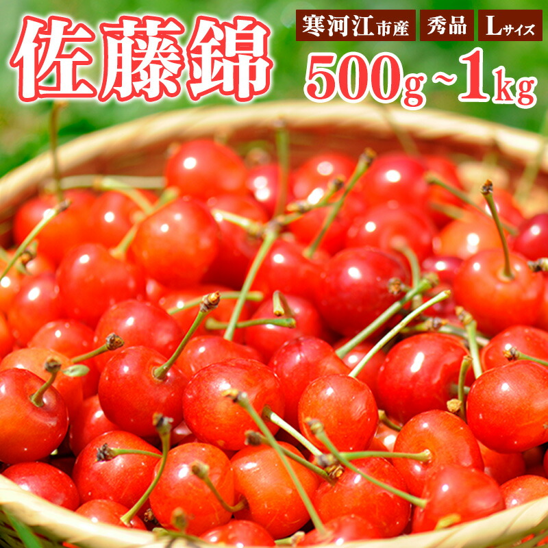 【ふるさと納税】《受付終了間近！》 山形県産 さくらんぼ 選べる！「佐藤錦」 秀品 500g 1kg Lサイズ <br>【2025年6月上旬頃～下旬頃発送予定】<br> ／ お取り寄せ ご当地 特産 フルーツ 果物 果実 くだもの サクランボ 2025年産 令和7年 東北 ふるさと納税 果物 山形