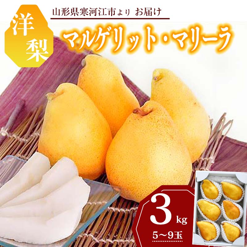 市場 ふるさと納税 約1.6キロから2キロ※2022年7月下旬頃までに順次発送予定※北海道 一本で めったにない大きさ ジネンジョ 和歌山県産  山菜の王者