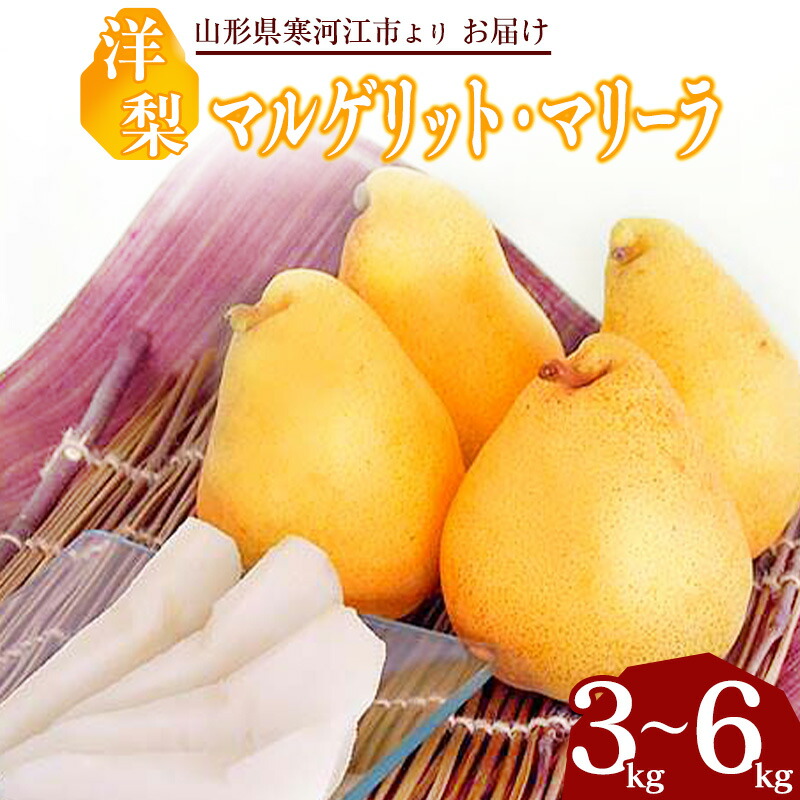 【ふるさと納税】洋梨 「追熟 マルゲリット・マリーラ」 3kg - 6kg 秀品 山形産 【2025年9月下旬頃 - 10月上旬頃発送予定】<br>／ 選べる お取り寄せ 果物 くだもの フルーツ デザート 西洋梨 旬 直送 特産 産地直送 秋 東北 山形県 令和7年産 洋 梨 さわやか