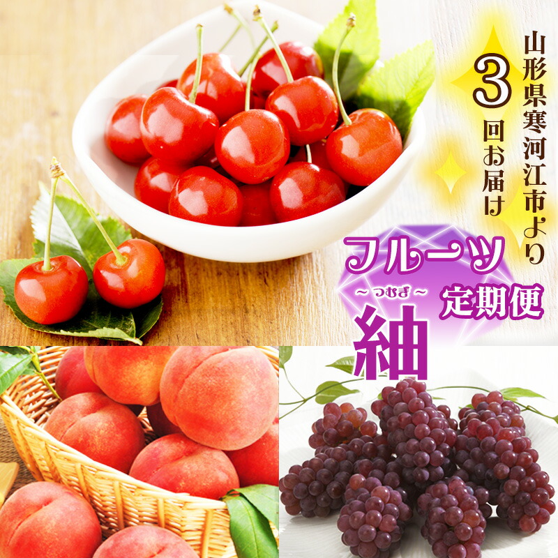 【ふるさと納税】《受付終了間近！》3回定期便 山形県産 「フルーツ 定期便 紬（つむぎ）」 【2025年6月上旬頃から発送開始予定】 2025年産／ 果物 さくらんぼ 佐藤錦 白桃 ぶどう 種無し デラウエア 秀 希少 果実 国産 フルーツ定期便 山形 限定