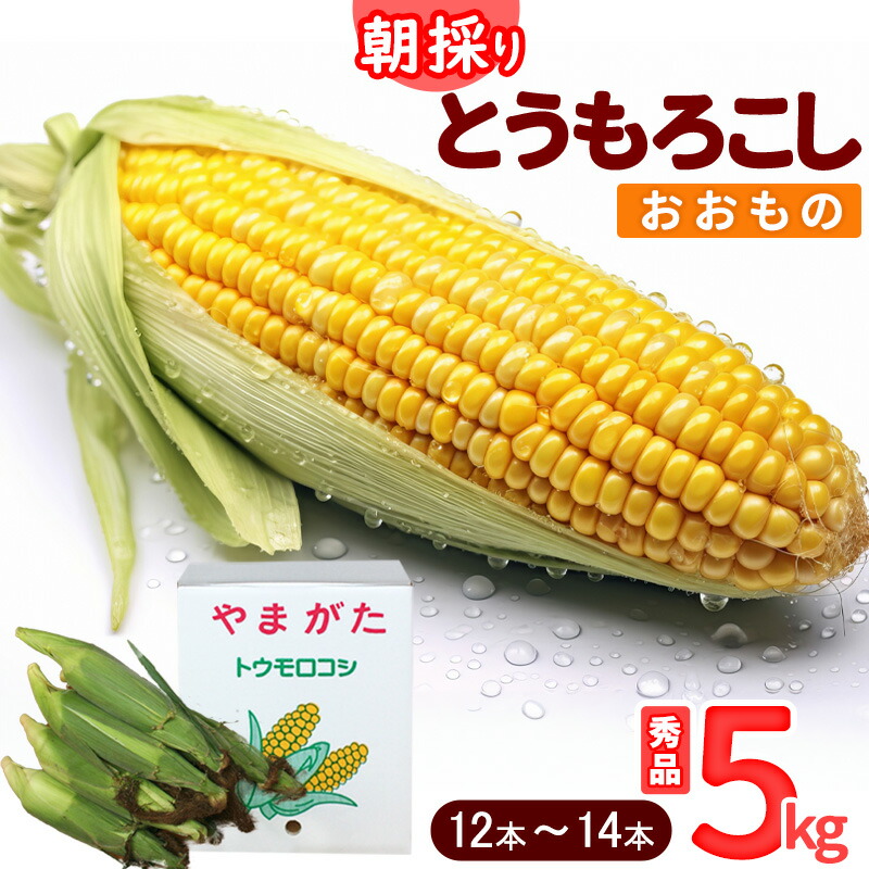 【ふるさと納税】《クール便》朝採り とうもろこし「おおもの」  秀品 5kg （12本 - 14本） 山形県産 <br>【2025年7月上旬頃から7月下旬頃発送予定】<br>／ とうもろこし 野菜 自宅用 家庭用 夏 産地直送 2025年産 令和7年産 東北 山形産 トウモロコシ クール便