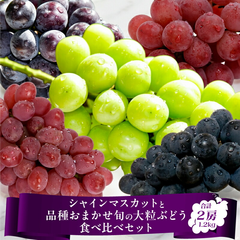 【ふるさと納税】【先行予約】令和8年産 シャインマスカット と 品種おまかせ ぶどう 食べ比べセット 計1.2kg以上（2房） 2026年産 山形県産 【2026年9月上旬頃～10月中旬頃発送予定】※配送不可 沖縄・離島 果物 ぶどう 葡萄 フルーツ ブドウ 詰め合わせ 産地直送