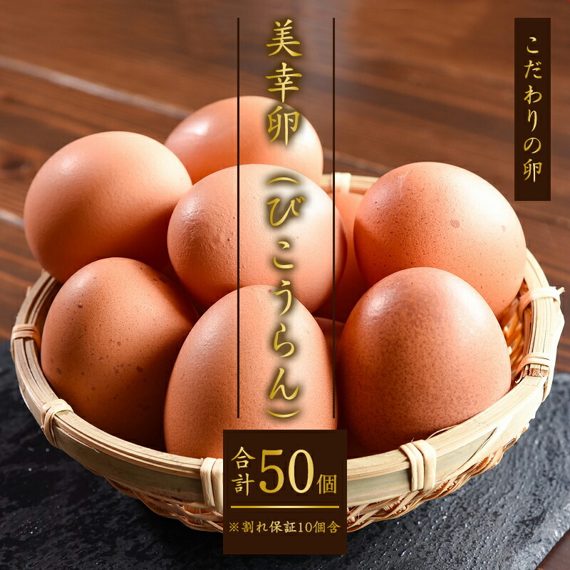 【ふるさと納税】濃厚 たまご 「美幸卵」 計50個 （割れ保証10個含む） <br>／ お取り寄せ 国産 玉子 たまご タマゴ エッグ 新鮮 TKG ごはん ご飯 すき焼き すきやき パティシエ 御用達 スイーツ 朝食 お菓子 東北 山形 送料無料 板垣養鶏場