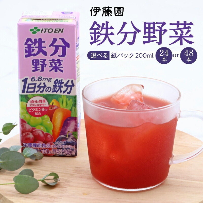 【ふるさと納税】【10営業日以内発送】伊藤園 鉄分野菜 紙パック 200ml 【選べる 24本と48本】 送料無料 スピード発送 にんじん ミックス ジュース パック飲料 ドリンク 鉄分 ビタミンB12 栄蓑機能食品 ベリー プルーン 1食分の野菜 1日分の鉄分 20 種の野菜 7 種の果実