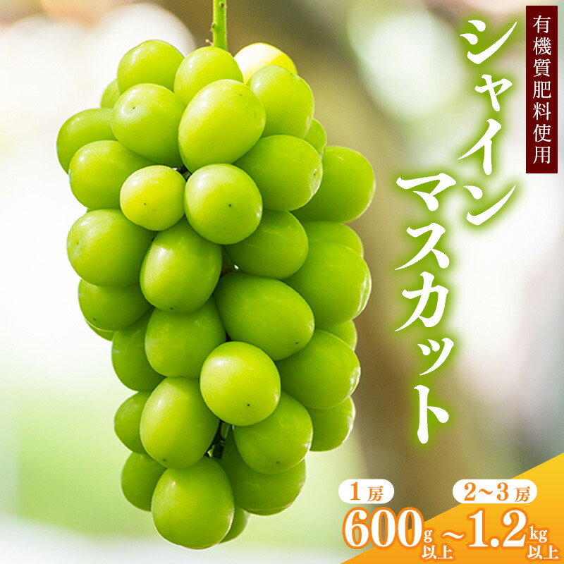 【ふるさと納税】令和8年産 先行予約 ＜厳選＞ 選べる！ シャインマスカット 600g 以上 ～ 1.2kg 以上 山形県産【2026年9月上旬頃～10月上旬頃発送予定】※配送不可 沖縄・離島 2026年産 甘い ぶどう ブドウ 種なし 葡萄 果物 フルーツ お取り寄せ 特産 産地直送