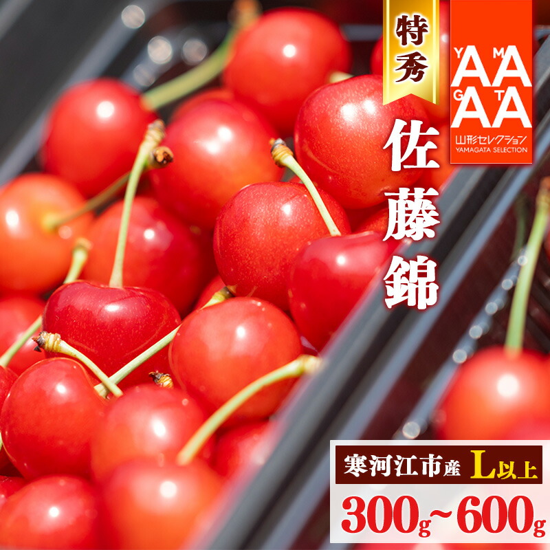 【ふるさと納税】《受付終了間近！》山形県産 さくらんぼ 選べる！ 「 佐藤錦 」300g ～ 600g 特秀品 Lサイズ以上 【2025年6月上旬頃～下旬頃発送予定】 ／ お取り寄せ フルーツ 果物 果実 特産 産地 直送 高級 贈答 東北 300グラム 600グラム 2025年産 令和7年産 山形県産