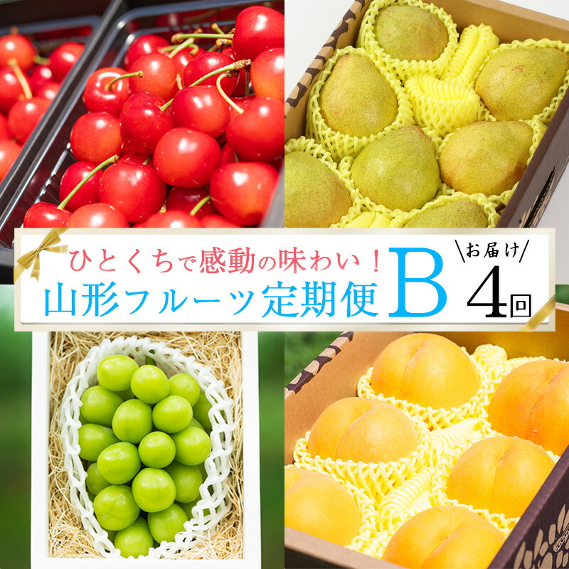 【ふるさと納税】《先行予約》令和8年産 特秀品 Bコース【定期便4回】フルーツ定期便 さくらんぼ 紅秀峰 黄桃 シャインマスカット 洋梨 ラネージュ 山形県産 【2026年6月中旬頃から発送開始予定】 ※配送不可 沖縄・離島 お取り寄せ ご当地 特産 名物 果物 46,800円