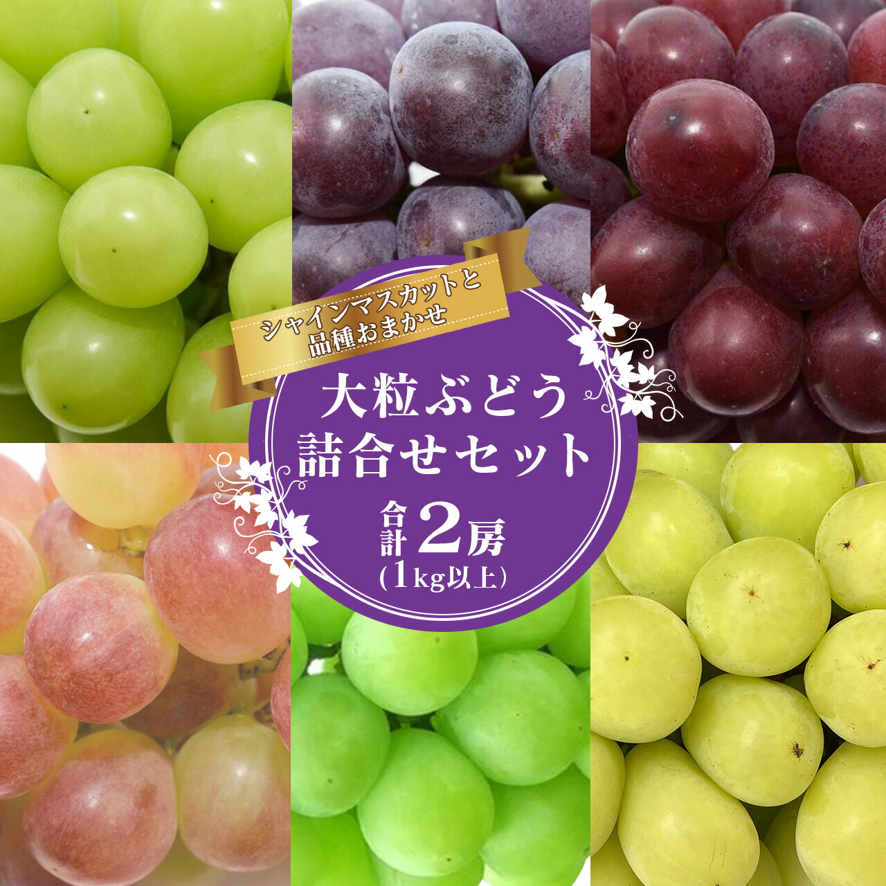 【ふるさと納税】《シャインマスカットが必ず入る！》人気のぶどう 詰合せ 計2房（計1kg以上）品種おまかせ 【2025年9月中旬頃～10月下旬頃発送予定】山形産 ／ 農家直送 2025年産 令和7年産 山形県産 お取り寄せ ご当地 特産 産地直送 果物 フルーツ 葡萄 果汁 東北 1キロ