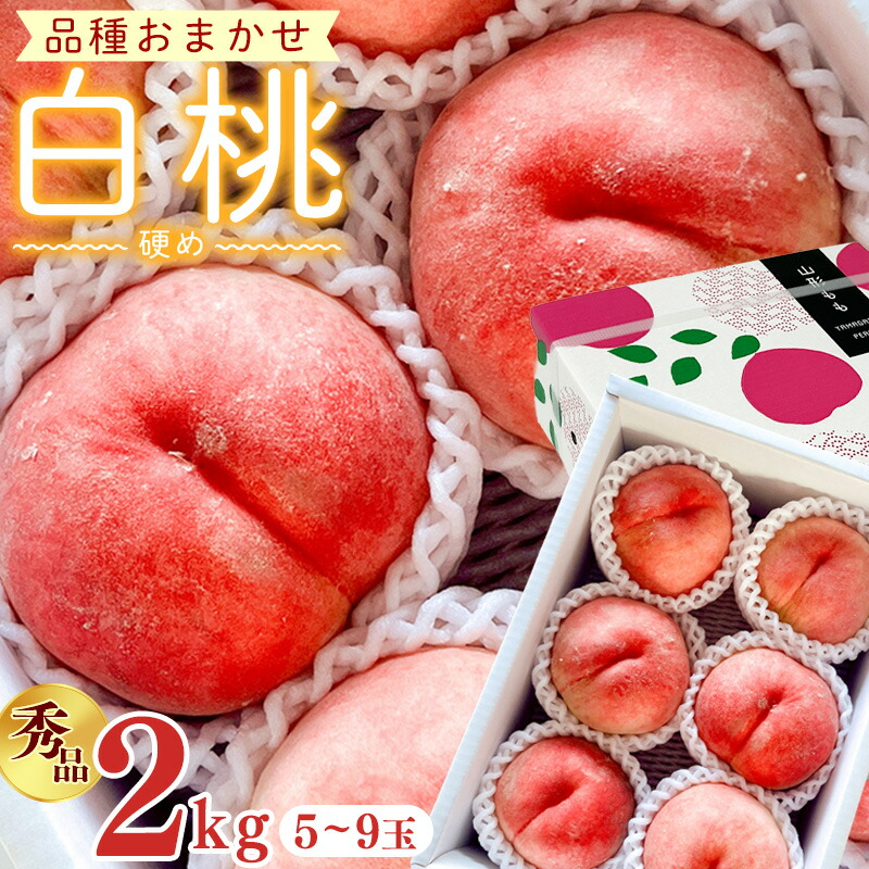 【ふるさと納税】【先行予約】令和8年産 白桃 硬めの桃 秀品 2kg ( 5玉 - 9玉 ) 品種おまかせ 山形県産【2026年8月上旬頃から下旬頃発送予定】※配送不可 沖縄・離島 2026年産 フルーツ 果物 果実 山形産|山形県寒河江市