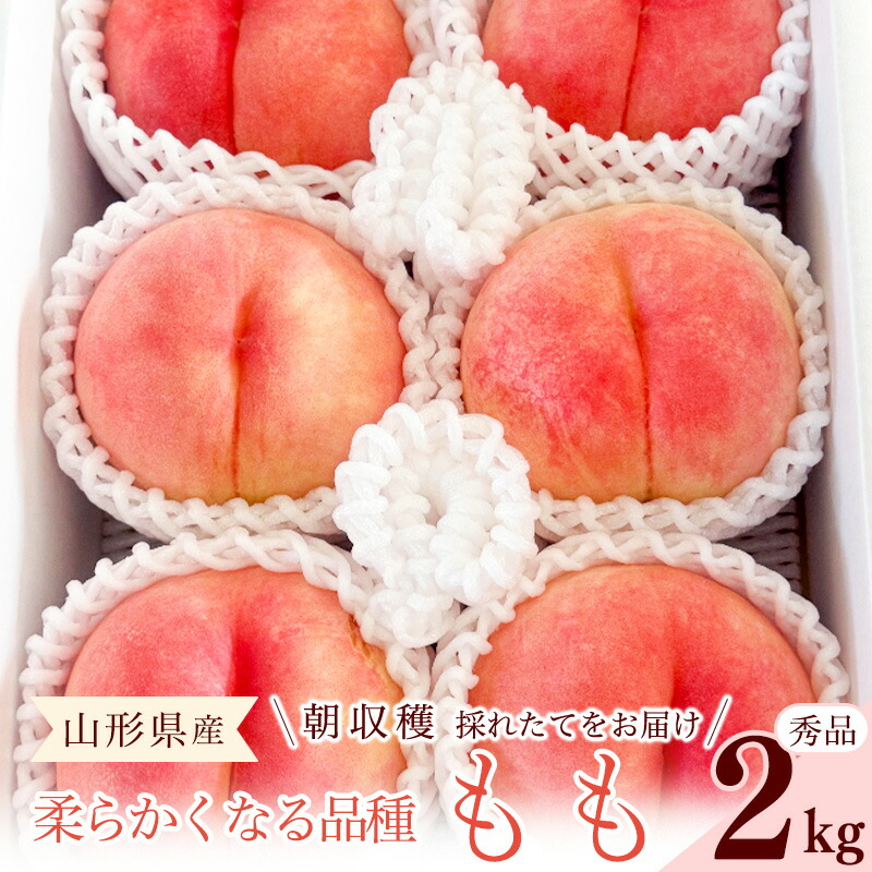 【ふるさと納税】【先行予約】山形県産 山形の桃 やわらかくなる白桃 秀品 2kg 品種おまかせ 令和8年産 【2026年8月上旬頃~9月下旬頃発送予定】※配送不可 沖縄・離島 2026年産 果物 フルーツ 果実 産地直送 新鮮 贈答 ギフト 特産|山形県寒河江市