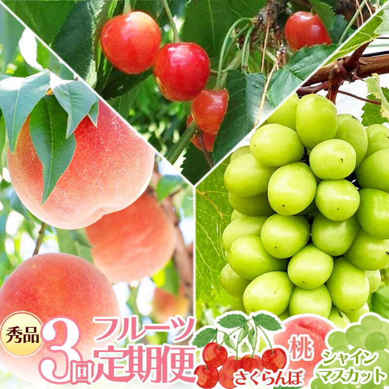 【ふるさと納税】【先行予約】令和8年産 フルーツ 3回 定期便 さくらんぼ（佐藤錦） 桃 シャインマスカット 秀品 山形県産【2026年6月上旬頃から発送開始予定】※配送不可 沖縄・離島 2026年産 果物 フルーツ 果実 産地直送 新鮮 贈答 ギフト 特産