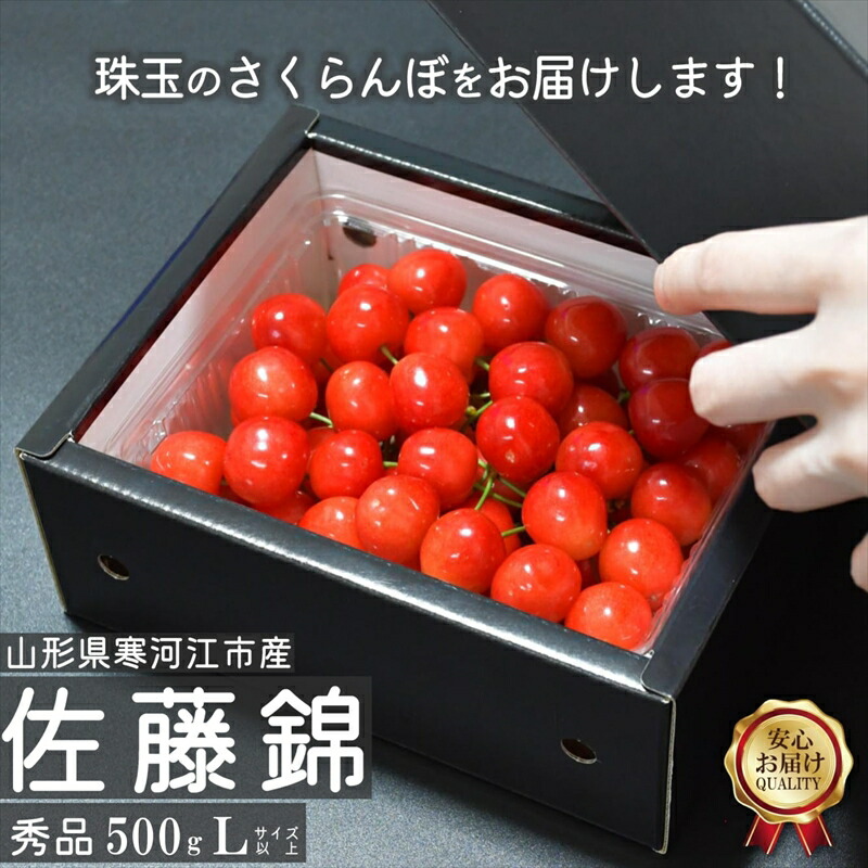 【ふるさと納税】《受付終了間近！》山形県産 さくらんぼ 「佐藤錦」Lサイズ以上 秀品 500g バラ詰め 山形県産 【2025年6月上旬頃～下旬頃発送予定】<br>／ お取り寄せ フルーツ 果物 果実 ご当地 特産 東北 道の駅 チェリーランド さがえ 土産 2025年産 令和7年産 500グラム