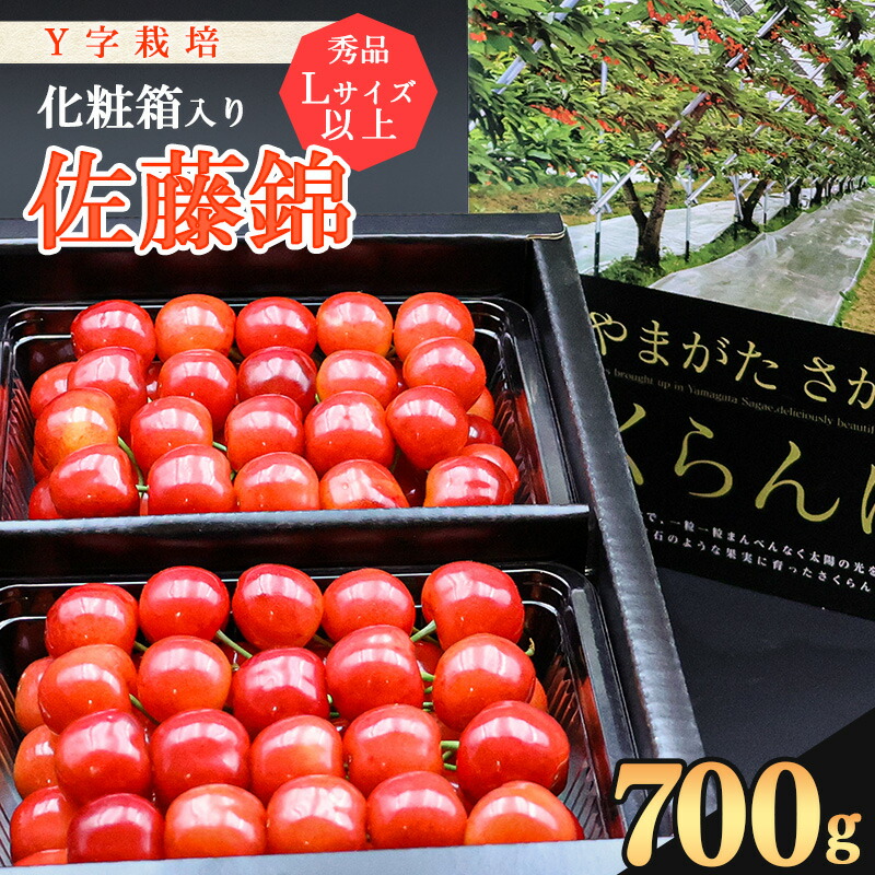 【ふるさと納税】《受付終了間近！》山形県産 さくらんぼ《こだわりのY字仕立て栽培》さくらんぼ「佐藤錦」700g 秀品 Lサイズ以上 化粧箱入り 【2025年6月上旬頃～下旬頃発送予定】<br>／ 2025年産 令和7年産 お取り寄せ 特産 高級 山形 山形県 生産者直送 楽天ふるさと納税