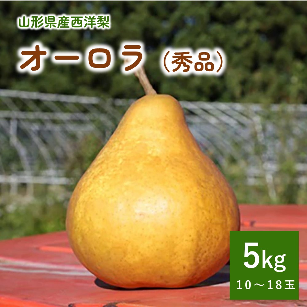 【ふるさと納税】西洋梨 ( オーロラ ) 5kg 10～18玉 秀品 山形県 上山市 0011-2504