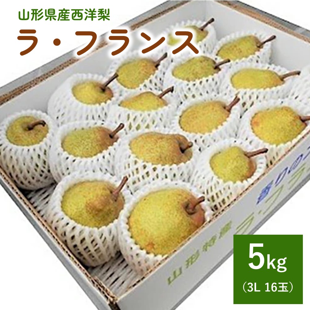 【ふるさと納税】 西洋梨 ( ラ・フランス ) 5kg 16玉 3L 秀品 贈答用 果物 フルーツ 洋なし 山形 産地直送 お取り寄せ 送料無料 山形県 上山市 0040-2504