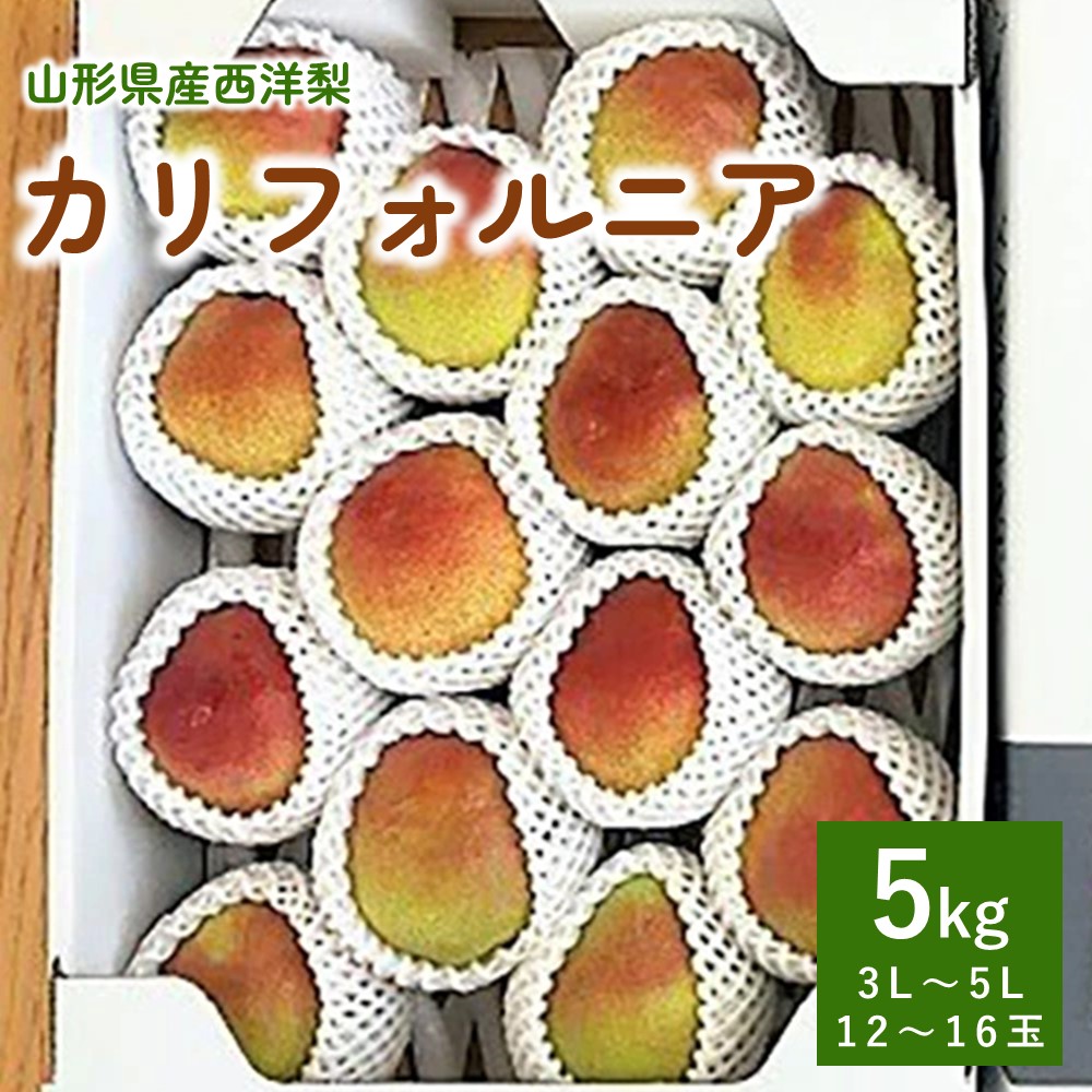 【ふるさと納税】西洋梨 ( カリフォルニア ) 5kg 秀品 化粧箱入り 12～16玉 3L～5L サイズ 果物 フルーツ 洋梨 西洋なし お取り寄せ 産地直送 送料無料 山形県 上山市 0047-2506