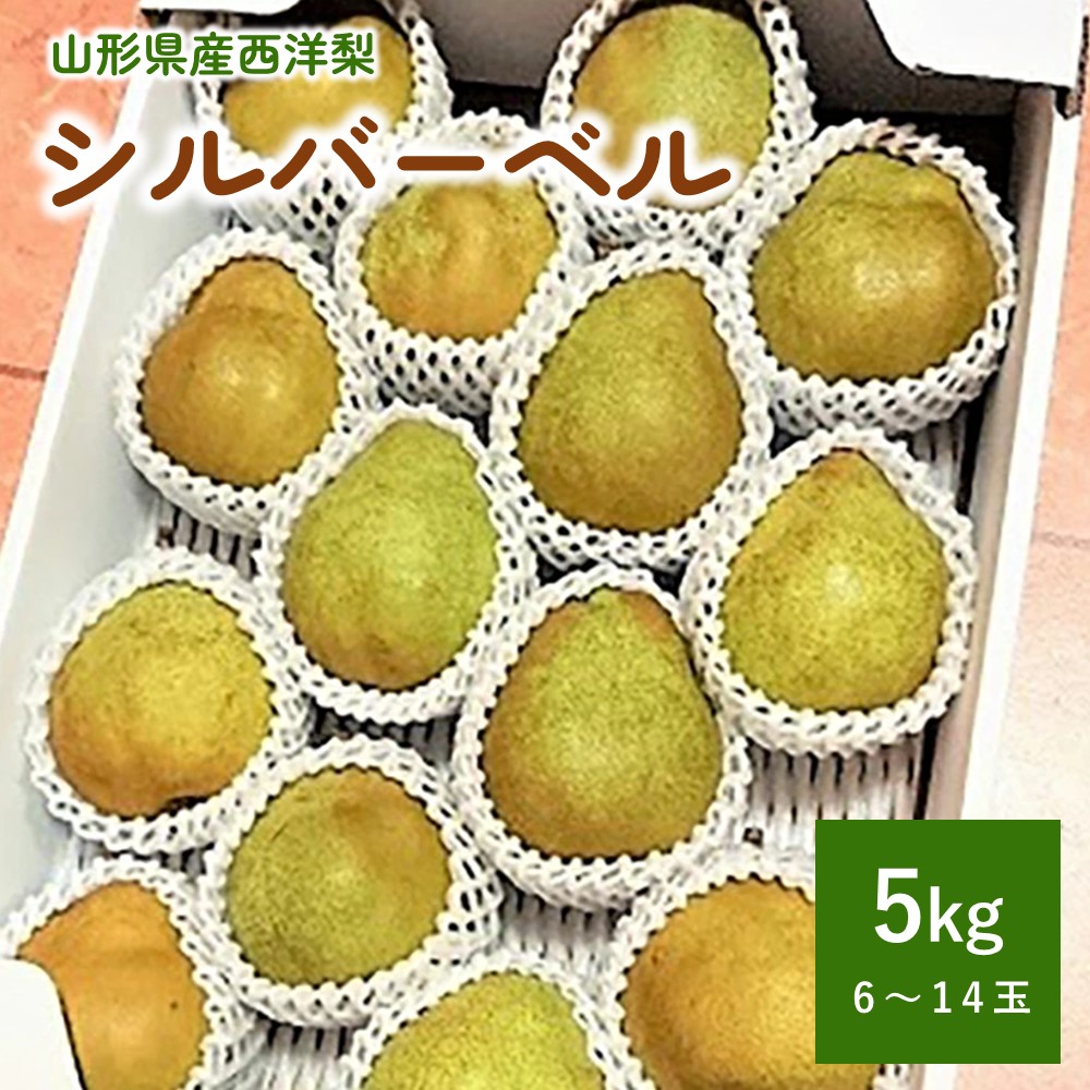 【ふるさと納税】西洋梨（シルバーベル）5kg 6～14玉 秀品 洋梨 なし 果物 フルーツ 産地直送 送料無料 山形県 上山市 0056-2524