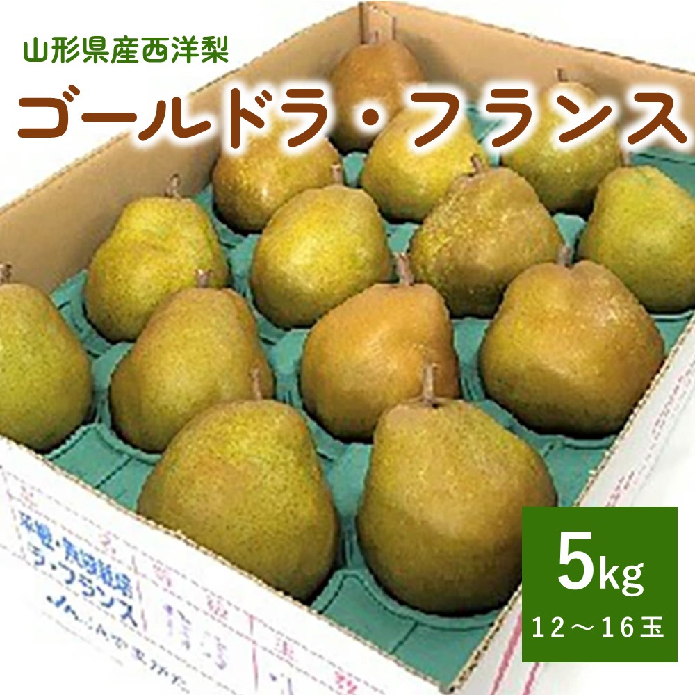 【ふるさと納税】西洋梨 ( ゴールドラ・フランス ) 5kg 12～16玉 特秀品 ラフランス 洋なし 洋梨 フルーツ くだもの 果物 産地直送 お取り寄せ 東北 山形県 上山市 0060-2516