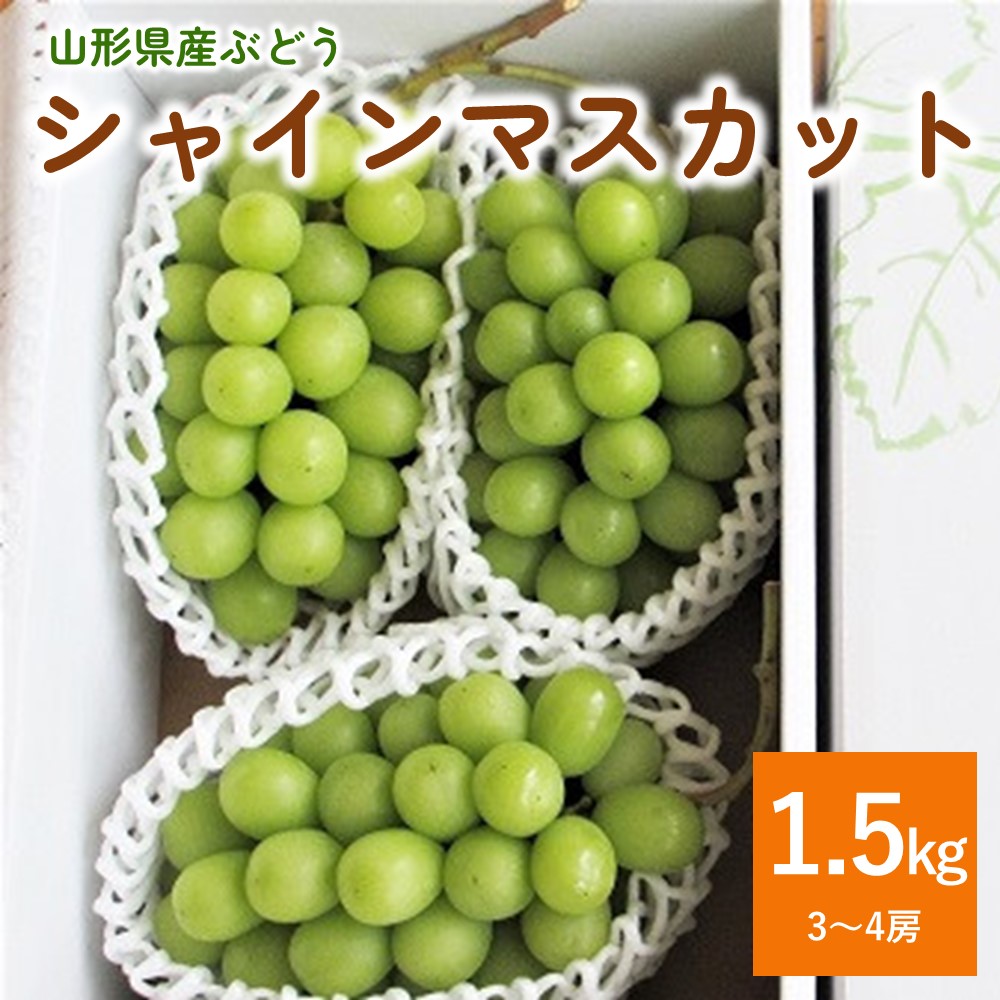 【ふるさと納税】ぶどう (シャインマスカット) 1.5kg ご家庭用 葡萄 ブドウ フルーツ 東北 山形 上山市 0085-2502