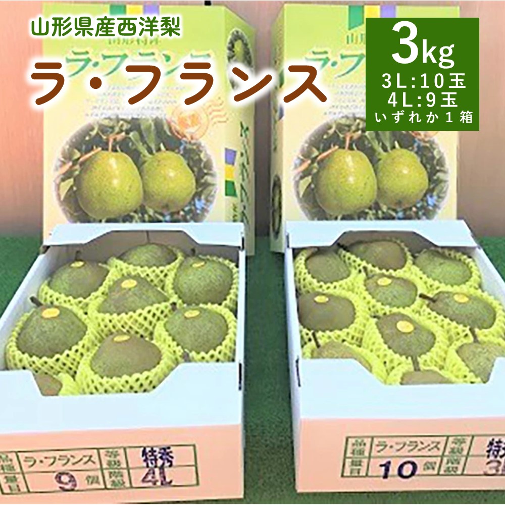【ふるさと納税】西洋梨 （ ラ・フランス ） 3kg 特秀品 1箱 果物 フルーツ 洋梨 お取り寄せ 産地直送 送料無料 山形県 上山市 0089-2502