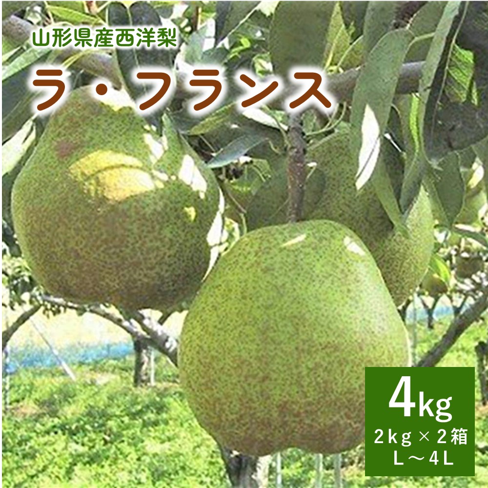 【ふるさと納税】 西洋梨 ラ・フランス 4kg （ 2kg × 2箱 ）4L～L サイズ 果物 フルーツ 洋梨 お取り寄せ 産地直送 送料無料  山形県 上山市  0089-2503