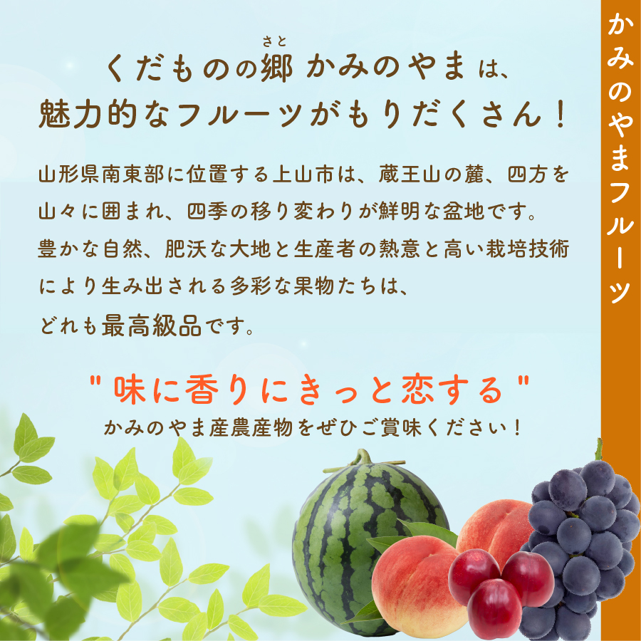 市場 ふるさと納税 6kg フランス ラフランス 2L〜6Lサイズ ご家庭用 3kg×2箱 ラ 西洋梨