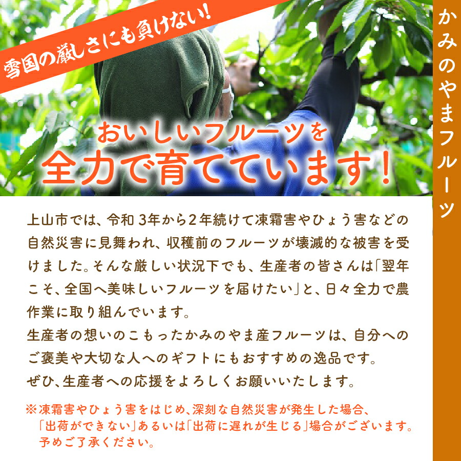 市場 ふるさと納税 ラ フランス 西洋梨