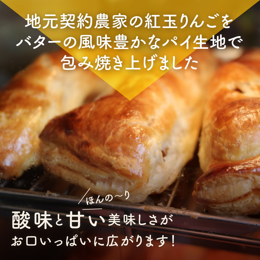 市場 ふるさと納税 11月頃から順次発送 お菓子 デザート スイーツ 第24回全国菓子博技術優秀賞受賞 小個 1箱 おやつ 上山アップルパイ